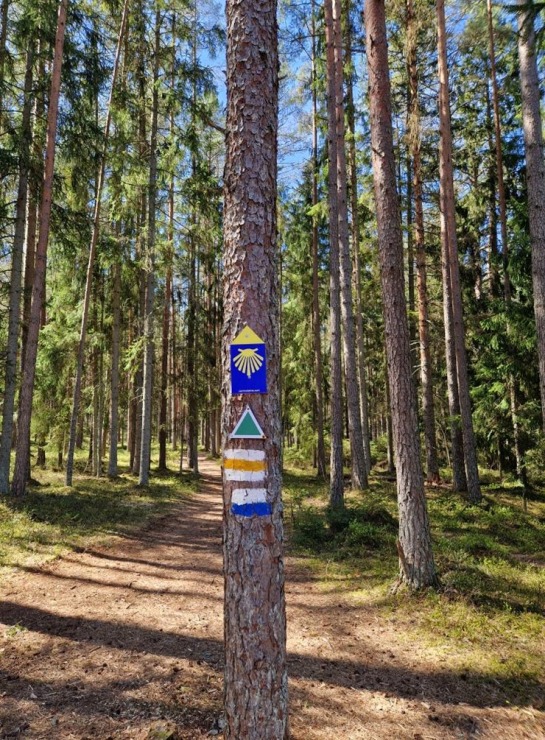 Pārgājiens starp diviem alus brūžiem - no Valmiermuižas līdz Brenguļiem - gar Gauju un Abulu. Foto: Inese Šīrava Pārgājiens starp diviem alus brūžiem - no Valmiermuižas līdz Brenguļiem - gar Gauju un Abulu. Foto: Inese Šīrava 370788