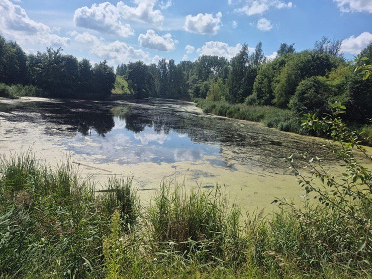 Travelnews.lv kopā ar ķepaini Šeidinu iepazīt Daugavgrīvas cietoksni Rīgā 374613