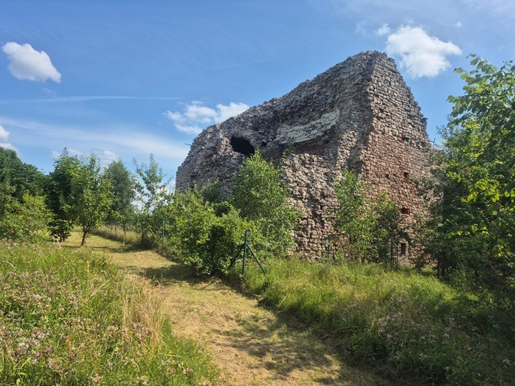 Travelnews.lv kopā ar ķepaini Šeidinu iepazīt Daugavgrīvas cietoksni Rīgā 374615