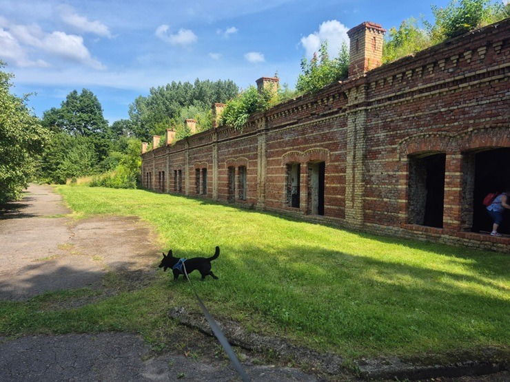 Travelnews.lv kopā ar ķepaini Šeidinu iepazīt Daugavgrīvas cietoksni Rīgā 374610