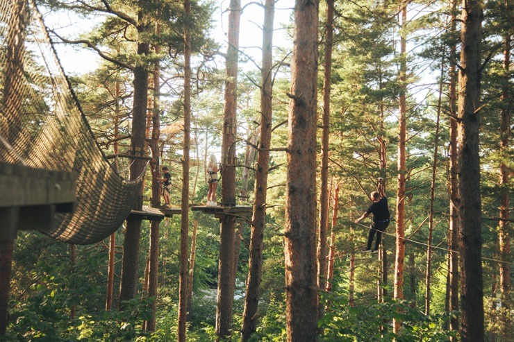 Atklāj vasaras prieku Ventspils Piedzīvojumu parkā 375469