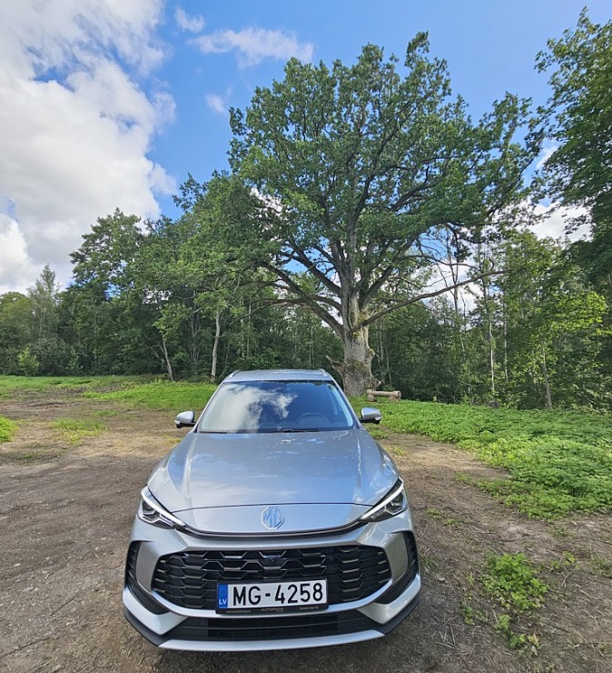 Ar jauno «MG ZS Hybrid+» apmeklējam milzīgo Mīlestības ozolu Limbažu novadā 375583