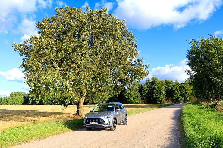 Ar jauno «MG ZS Hybrid+» apmeklējam milzīgo Mīlestības ozolu Limbažu novadā 375591