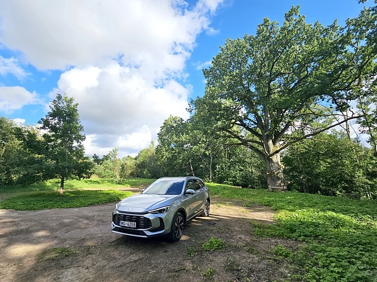 Ar jauno «MG ZS Hybrid+» apmeklējam milzīgo Mīlestības ozolu Limbažu novadā 375576