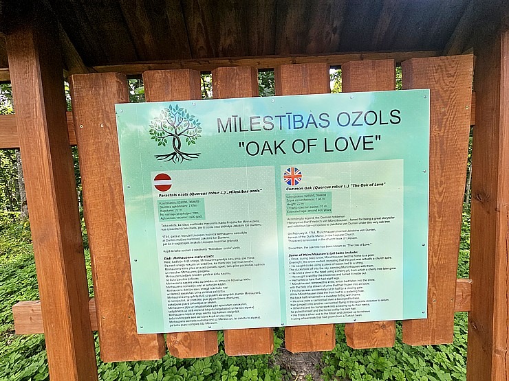 Ar jauno «MG ZS Hybrid+» apmeklējam milzīgo Mīlestības ozolu Limbažu novadā 375577