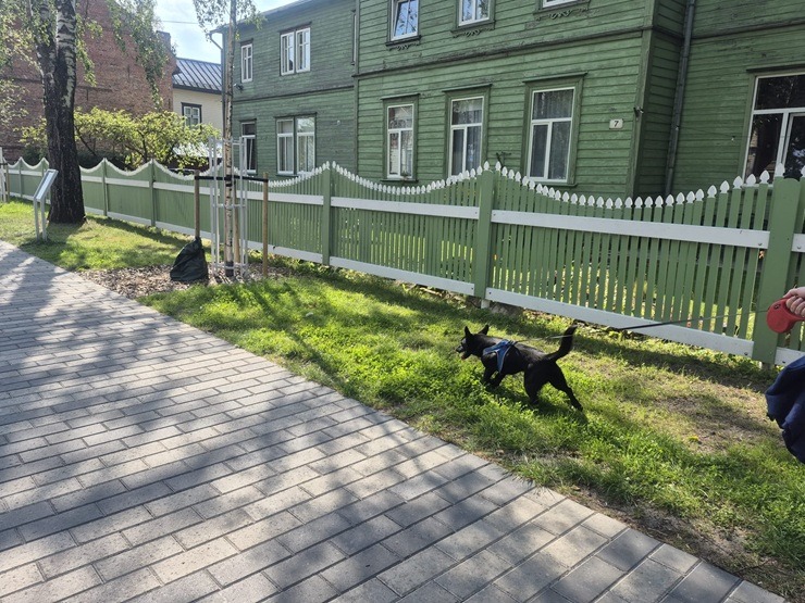 Travelnews.lv un Šeidins apciemo ziloņu, picu un parku karaļvalsti Pērnavu 375650