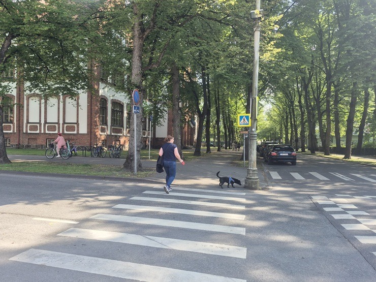 Travelnews.lv un Šeidins apciemo ziloņu, picu un parku karaļvalsti Pērnavu 375640