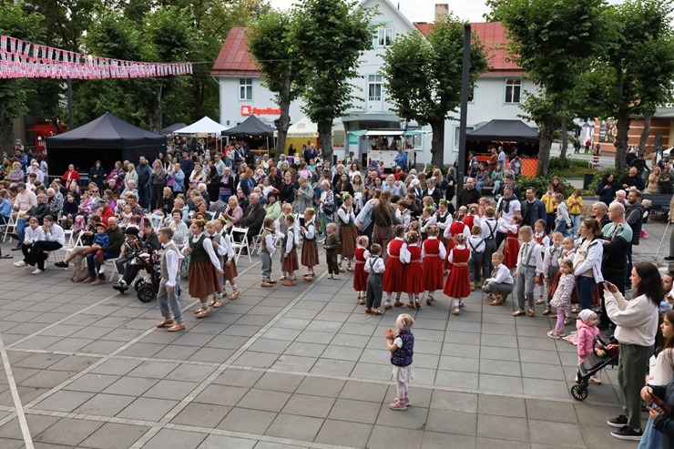 Ar daudzveidīgu kultūras un izklaides programmu Ogres pilsēta un novads svin svētkus 375950