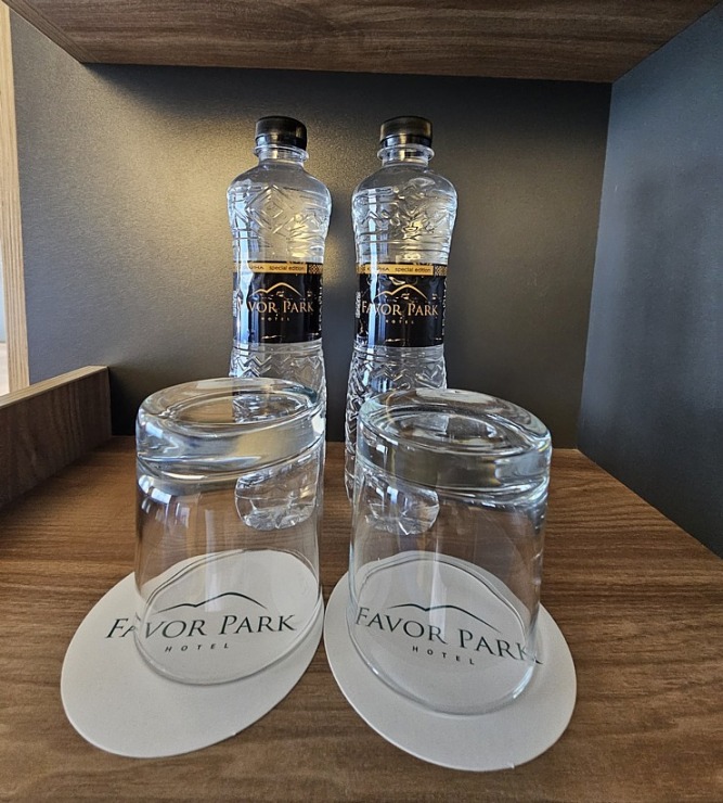 Kijivā nakšņojam viesnīcā «Favor Park Hotel». Sadarbībā ar SIXT 376560