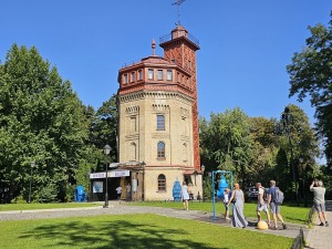 26
