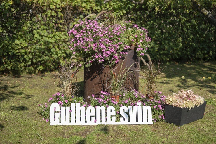 Bānītim 122! Gulbenē, Alūksnē un Stāmerienā svin Bānīša svētkus 376910