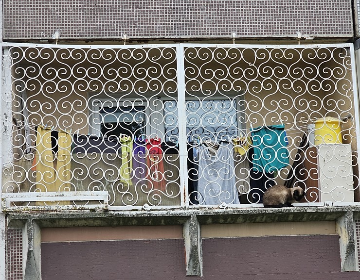 Pļavnieku režģotie māju logi - neierasts skats uz Rīgu jebkuram Rietumeiropas tūristam 377359