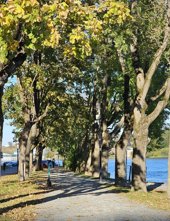 Nr.12 Aplūkojam Igaunijas - Krievijas robežu starp Narvu un Ivangorodu. Sadarbībā ar «Active Travel» un Idaviru 378833