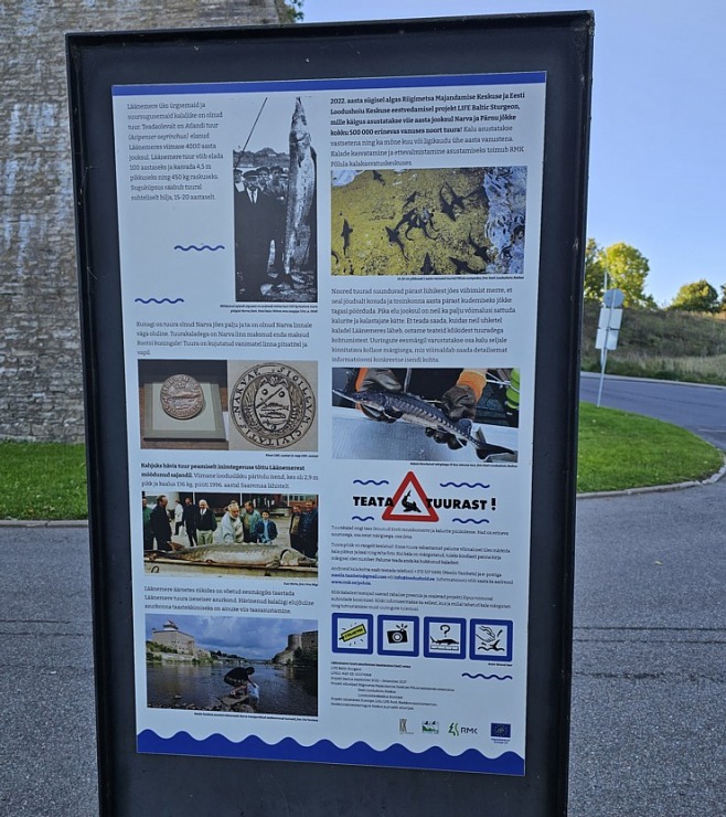 Nr.12 Aplūkojam Igaunijas - Krievijas robežu starp Narvu un Ivangorodu. Sadarbībā ar «Active Travel» un Idaviru 378837