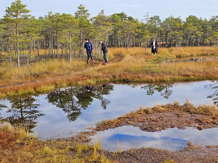 Rīta pārgājiens ar purva kurpēm pa Lielo Ķemeru tīreli. Sadarbībā ar VisitJurmala.lv 378887