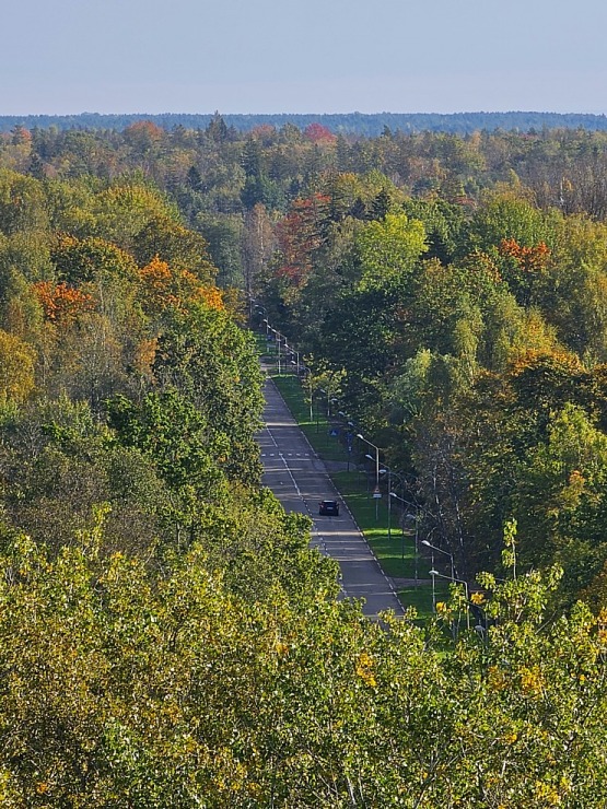 Apmeklējam Ķemeru kūrorta parku un ūdenstorni. Sadarbībā ar VisitJurmala.lv 378973