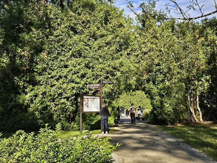 Apmeklējam Ķemeru kūrorta parku un ūdenstorni. Sadarbībā ar VisitJurmala.lv 378947