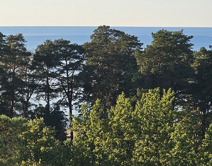Apmeklējam un nakšnojam Narvas viesnīcā «Meresuu Spa & Hotel». Sadarbībā ar «Active Travel» un Idaviru 379051