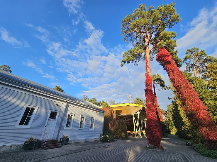 Leģendārās Dzintaru koncertzāles apskate ar iespēju ielūkoties mākslinieku grimētavās. Sadarbībā ar VisitJurmala.lv Leģendārās Dzintaru koncertzāles apskate ar iespēju ielūkoties mākslinieku grimētavās. Sadarbībā ar VisitJurmala.lv 379343
