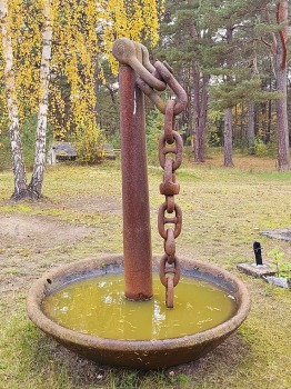 37