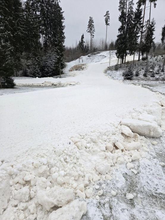 Madona novads gaida ziemas prieku cienītājus - Smeceres sils (Foto: A.Veckalniņš) 382046