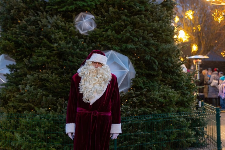 Jūrmala ir izgreznota Ziemassvētkiem – Jomas ielā iedegta galvenā pilsētas egle. Foto: Artis Veigurs 382623