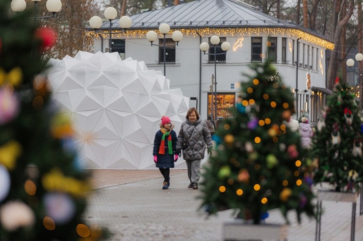 Jūrmala ir izgreznota Ziemassvētkiem – Jomas ielā iedegta galvenā pilsētas egle. Foto: Artis Veigurs 382606
