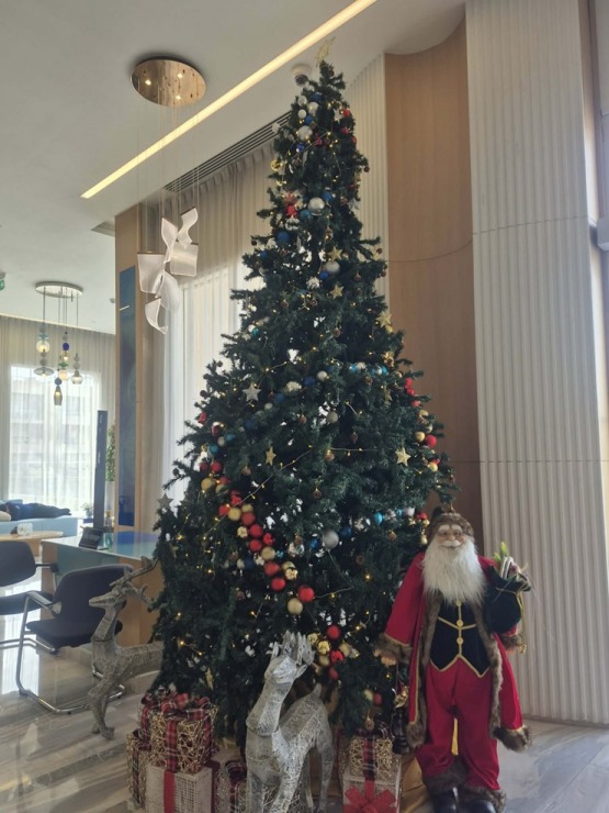 Šarm el Šeihas viesnīcas gatavojas Ziemassvētkiem un gadu mijai 382763