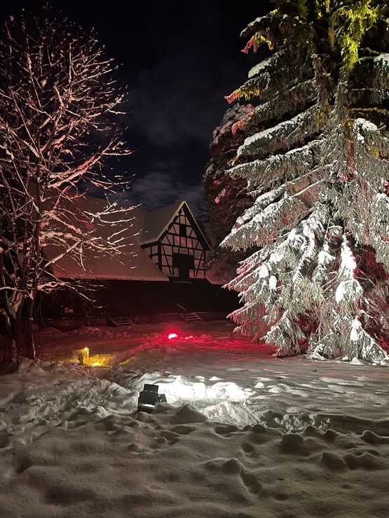 Brīvdabas muzejā no 19. decembra būs Ziemassvētku gaismu taka. Foto: lebm.gov.lv 383198