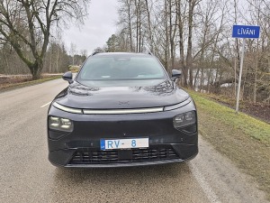 41