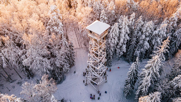 Baltās ziemas burvība Ogres novadā 384121
