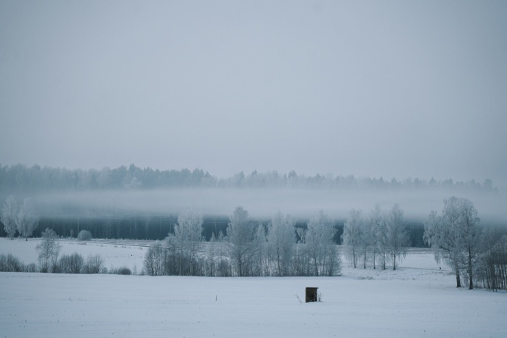 Auksti, bet skaisti - ziemas valdzinājums Valmieras novadā 384851
