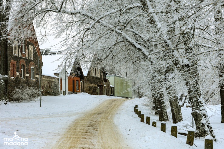Madonas novada Cesvaine pievilcīga ziemā 385019