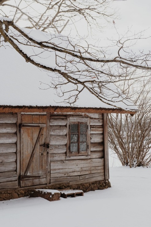 Salaspils novads piedāvā ziemas burvību rīdziniekiem un citiem novada viesiem. Foto: Zigmārs Dimants 386273