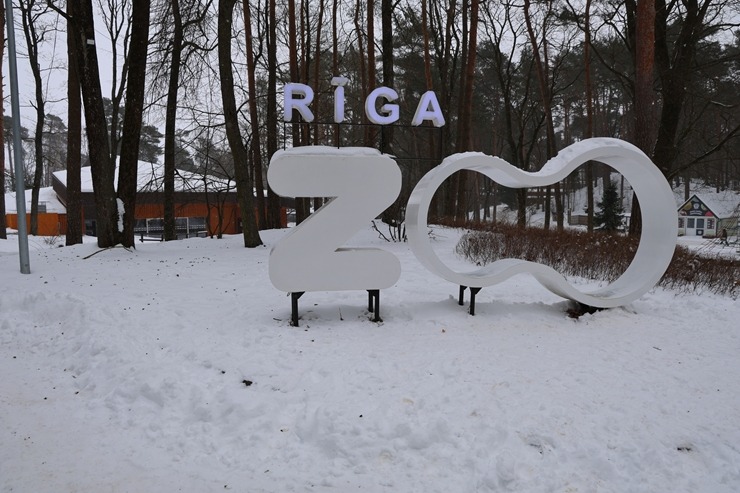 Rīgas Nacionālajā zooloģiskajā dārzā notiek kuprvaļa skeleta ekspozīcijas atklāšana 386635