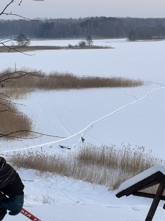 Kā dzīvo latgalieši Dagdā, kur šobrīd dziļākais sniegs Latvijā? - Krāslavas novads. Foto: Sintija Maļkeviča 386678