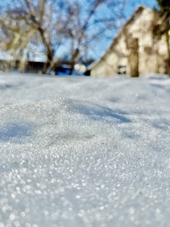 Sniegiem bagātā Dagda Krāslavas novadā atvadās no ziemas. Foto: Sintija Maļkeviča 387609