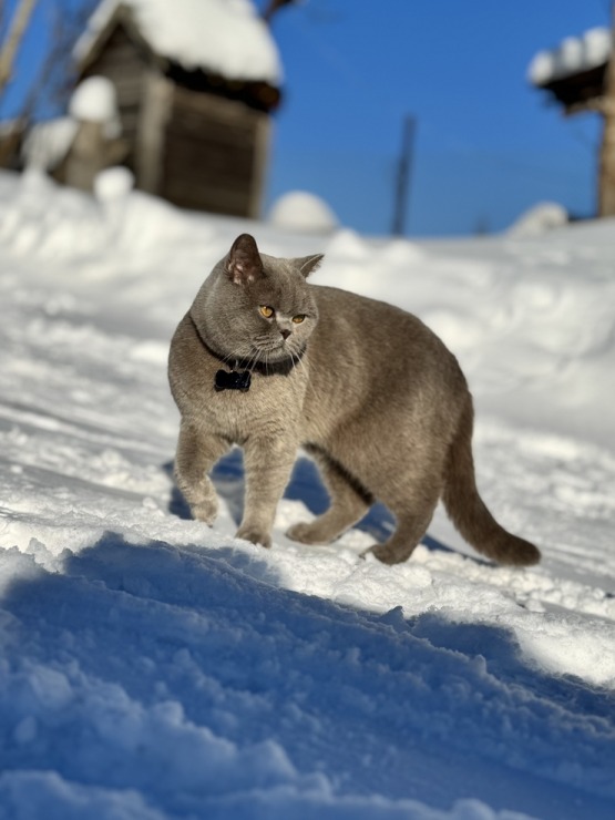 Sniegiem bagātā Dagda Krāslavas novadā atvadās no ziemas. Foto: Sintija Maļkeviča 387587