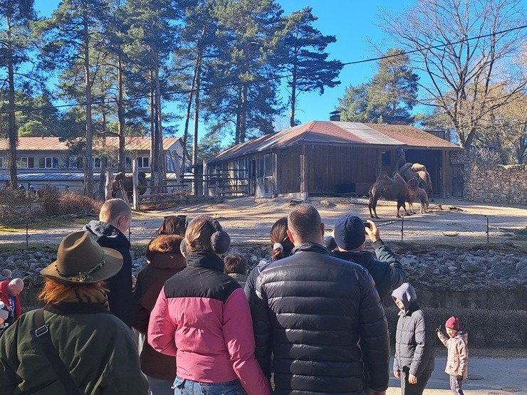 Rekordi krīt: Rīgas Zoo apmeklē rekordliels apmeklētāju skaits 389117