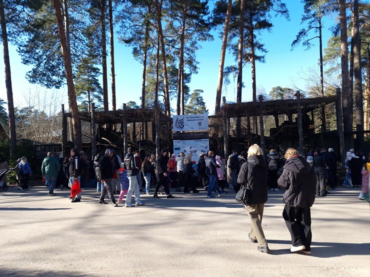 Rekordi krīt: Rīgas Zoo apmeklē rekordliels apmeklētāju skaits 389118