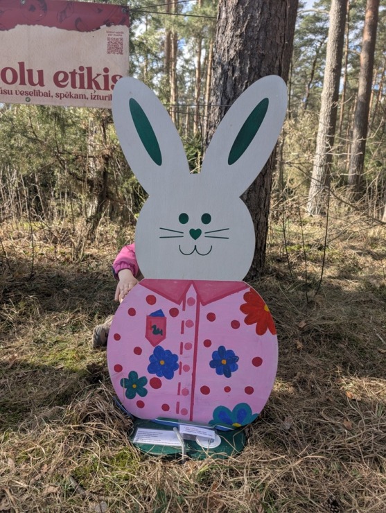 Salaspils novadā zaķu meklēšana jau kļuvusi par tradīciju 389465