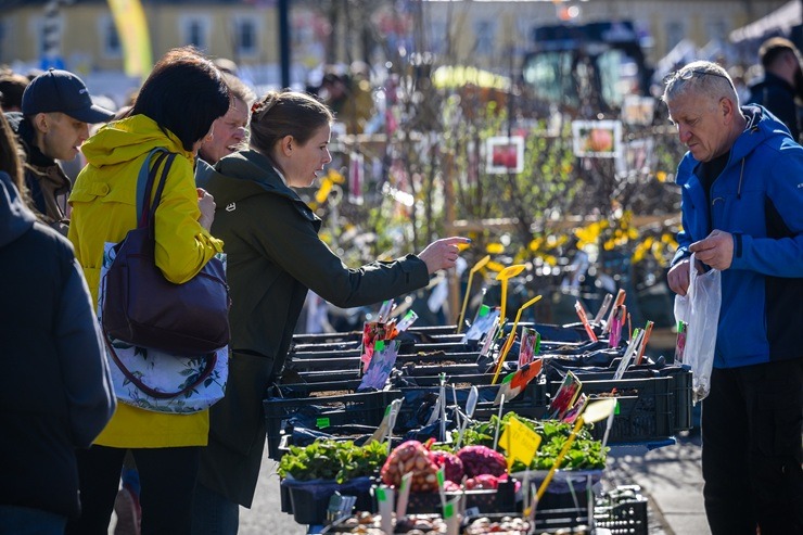 Smiltenes tirgus laikā pilsētas centrā virmo dzīvīga pavasara noskaņa 390198