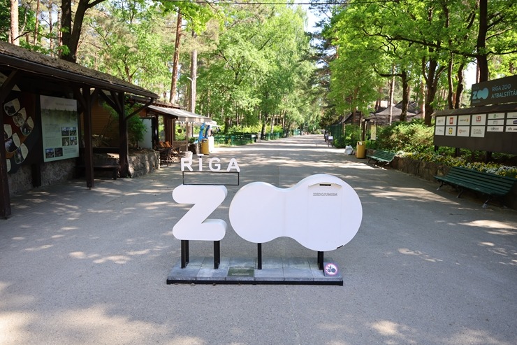 Rīga ZOO uzsāk «Himalaju» ekspozīcijas būvniecību, netraucējot apmeklētāju plūsmai un dzīvniekiem 393287