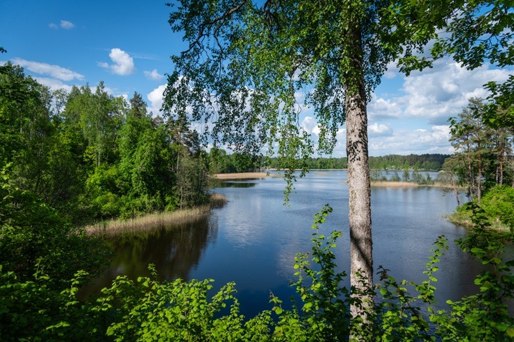 Upursala – Cirīša ezera lielākā sala ar teikām apvīto Upurkalnu un mēness sirpim līdzīgu siluetu 395192
