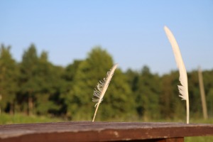 36