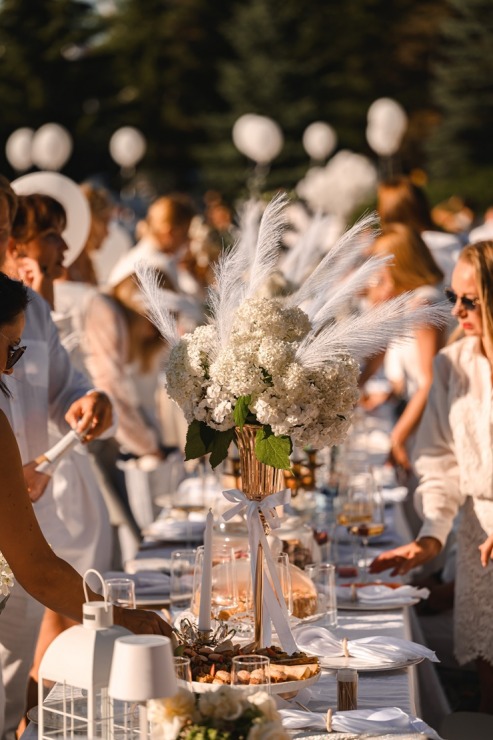 «White Sense Picnic» šogad atklāja Uzvaras parku jaunā gaismā 395762