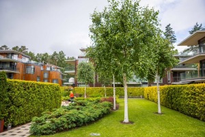 Jūrmala sumina sakoptākos īpašumus 8