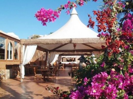 Zivju restorāns El Wadi. Šajā restorānā jūras krastā Jūs izbaudīsiet un novērtēsiet Sarkanās jūras delikateses, kas gatavotas grilējot. Kalmāri, garn Zivju restorāns El Wadi. Šajā restorānā jūras krastā Jūs izbaudīsiet un novērtēsiet Sarkanās jūras delikateses, kas gatavotas grilējot. Kalmāri, garn 19704