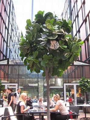 Grila restorāns 