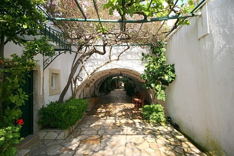 Klostera iekšpagalms 22252